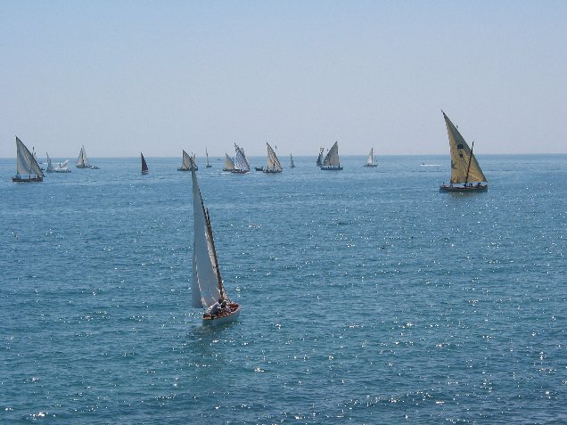 012.jpg - Voiles Latines sur S�te ....