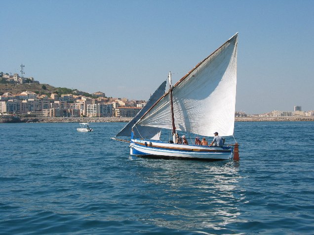015.jpg - Voile Latine au Pr�s 