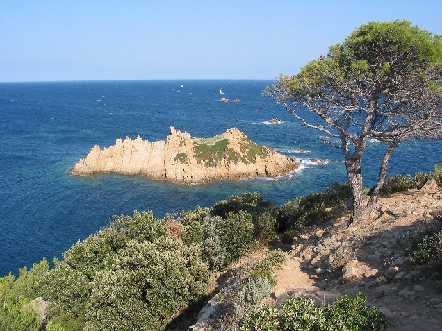110.jpg - Cap Camarat .